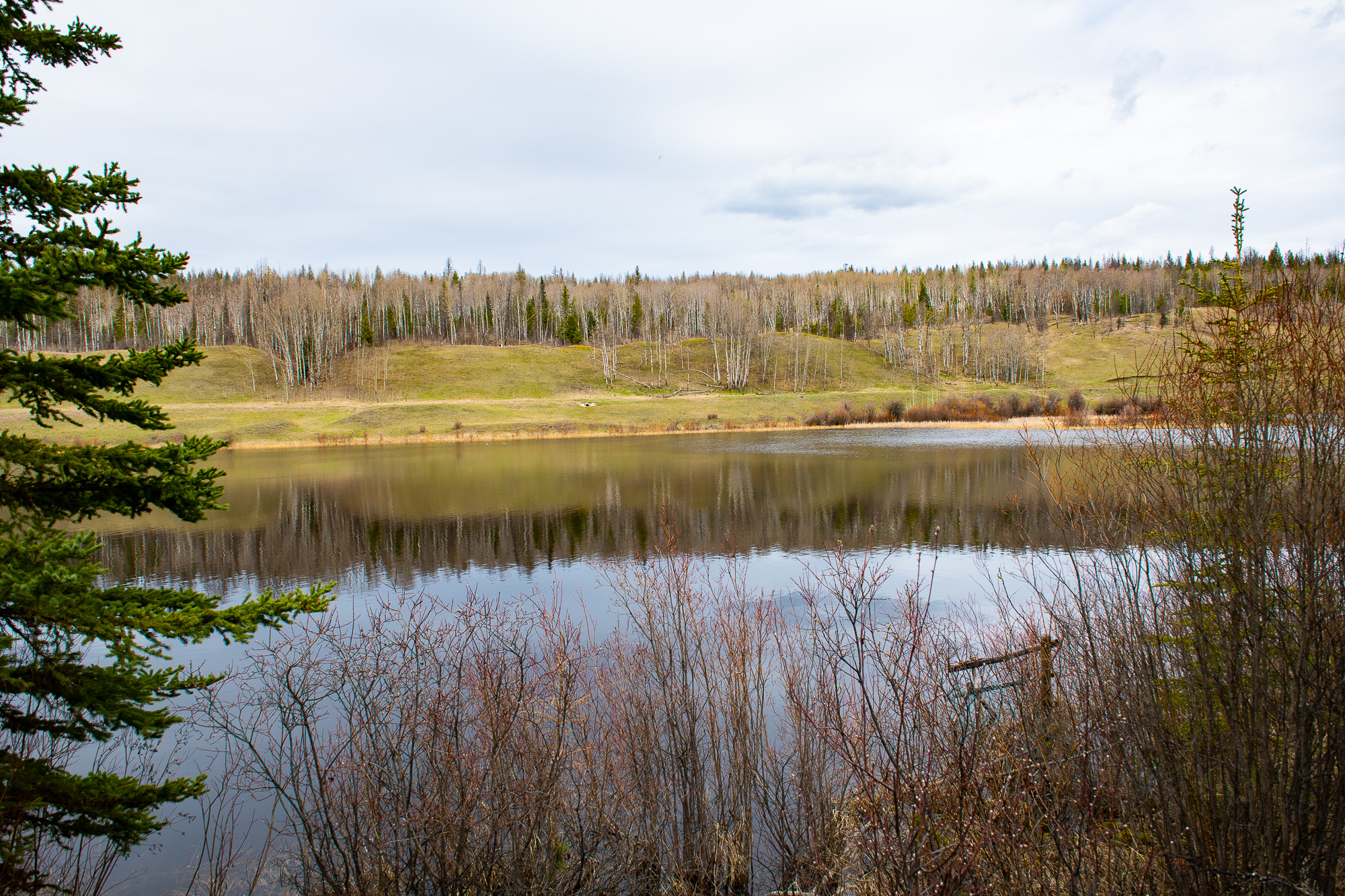 Little Pressy Lake Cabin Exterior-28